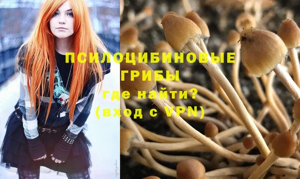 первитин Осинники