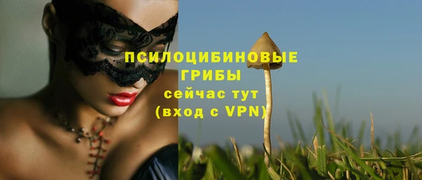 PSILOCYBIN Бутурлиновка