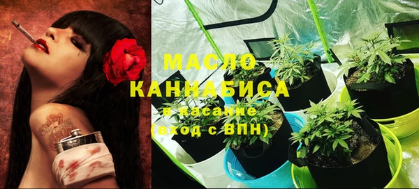 дурь Няндома