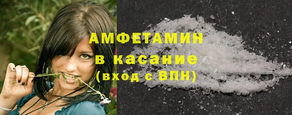дурь Няндома