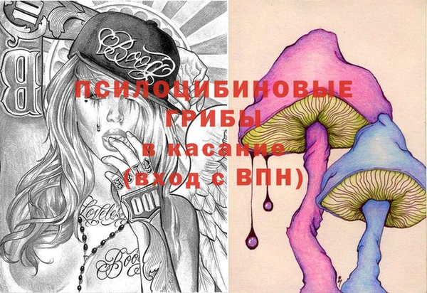 первитин Осинники