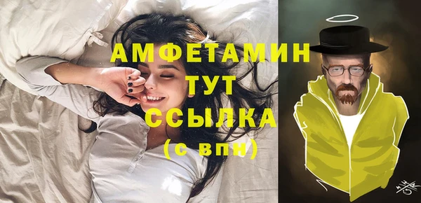 дурь Няндома