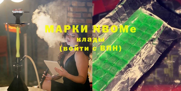 дурь Няндома