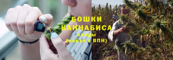 первитин Осинники