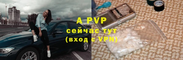 крисы Осташков